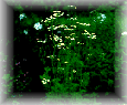 k�mmel